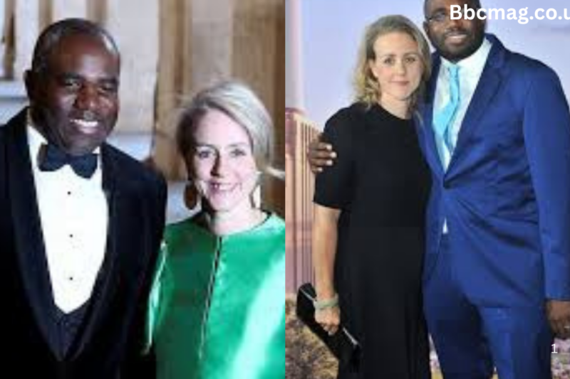 David Lammy Wife: The Remarkable Life Story of Nicola Green